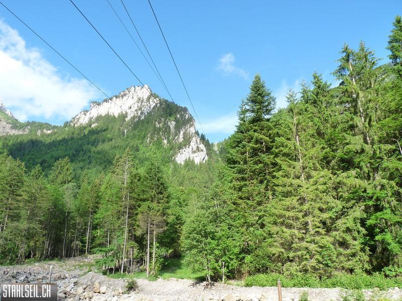 k-P1390385.JPG