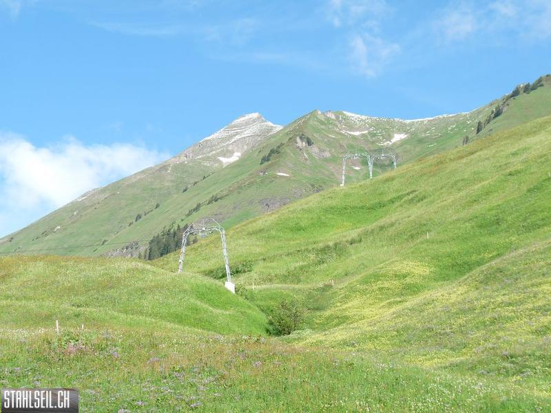 k-P1390416.JPG