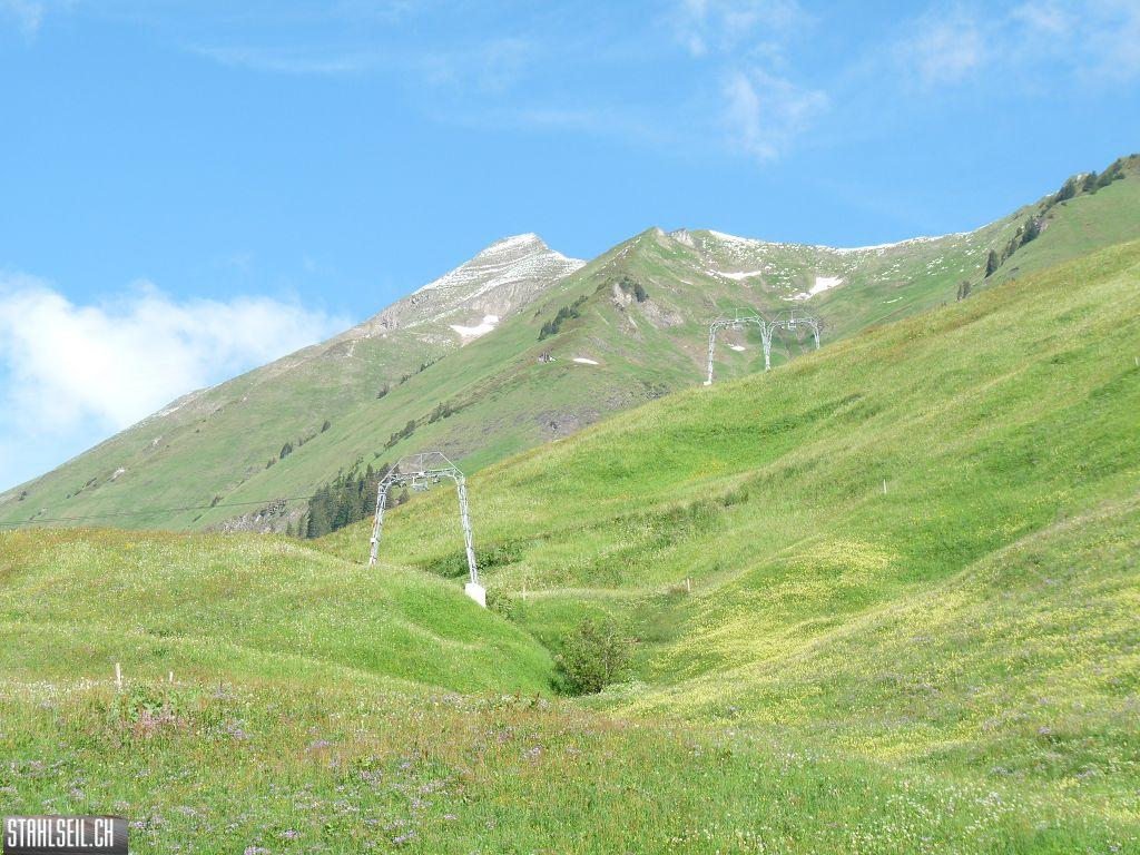 k-P1390416.JPG