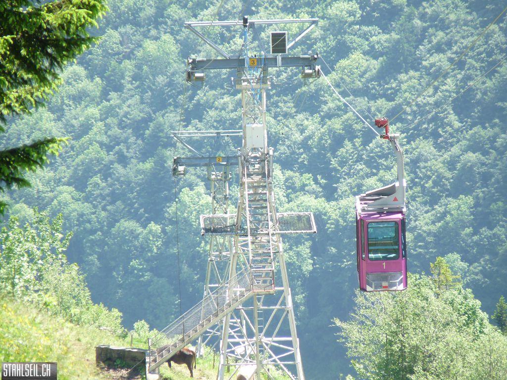 k-P1390524.JPG