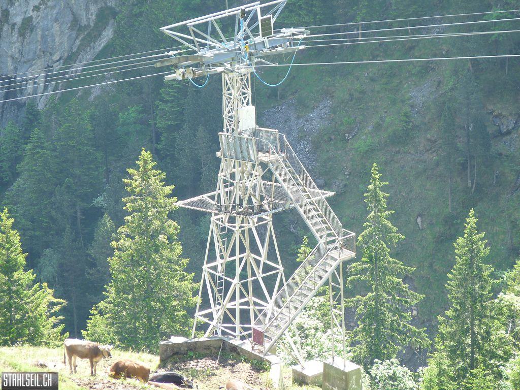 k-P1390529.JPG