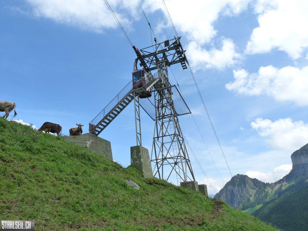 k-P1390567.JPG