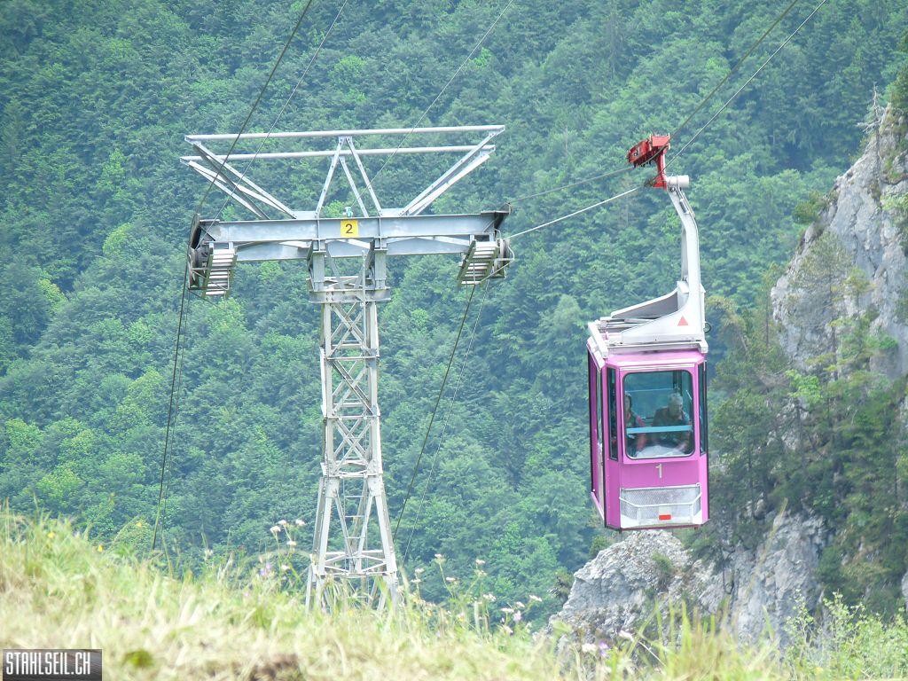 k-P1390568.JPG