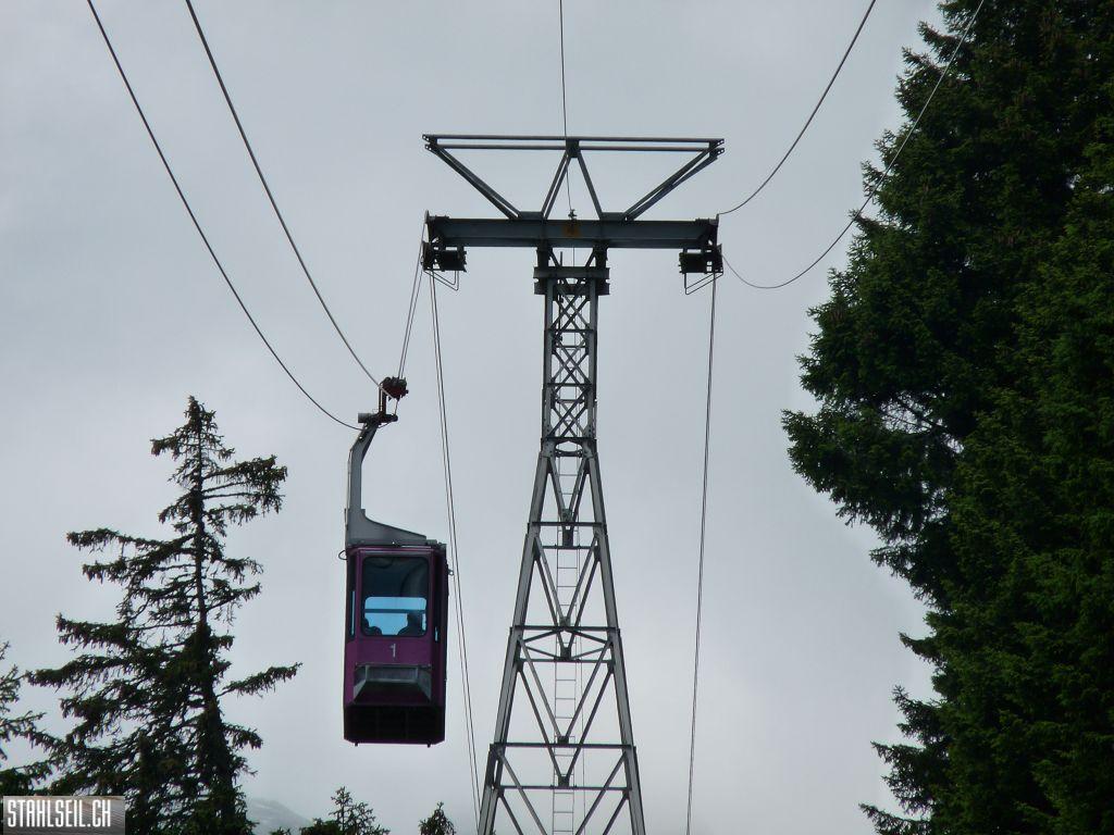 k-P1390575.JPG