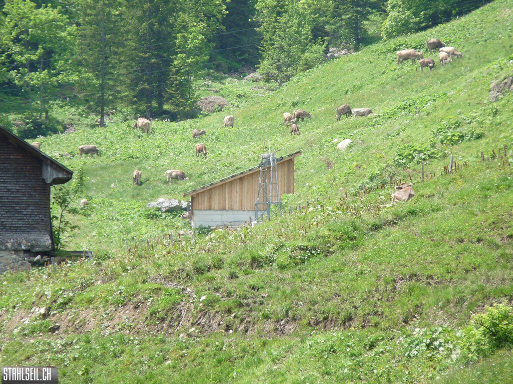 k-P1390582.JPG