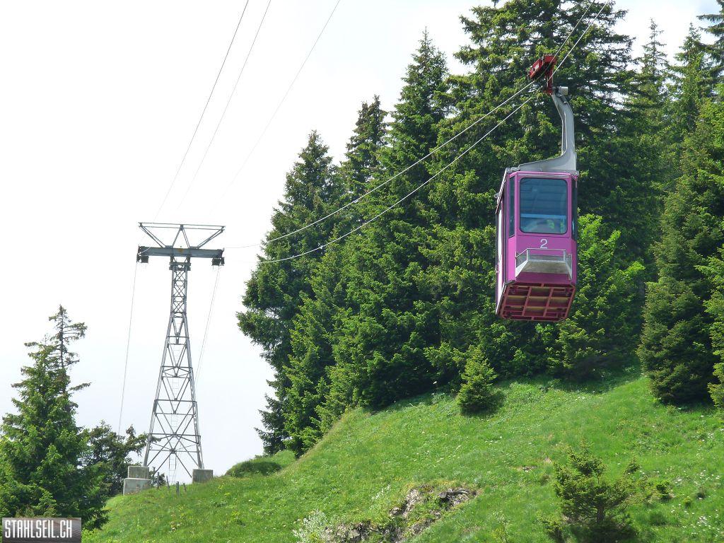 k-P1390595.JPG