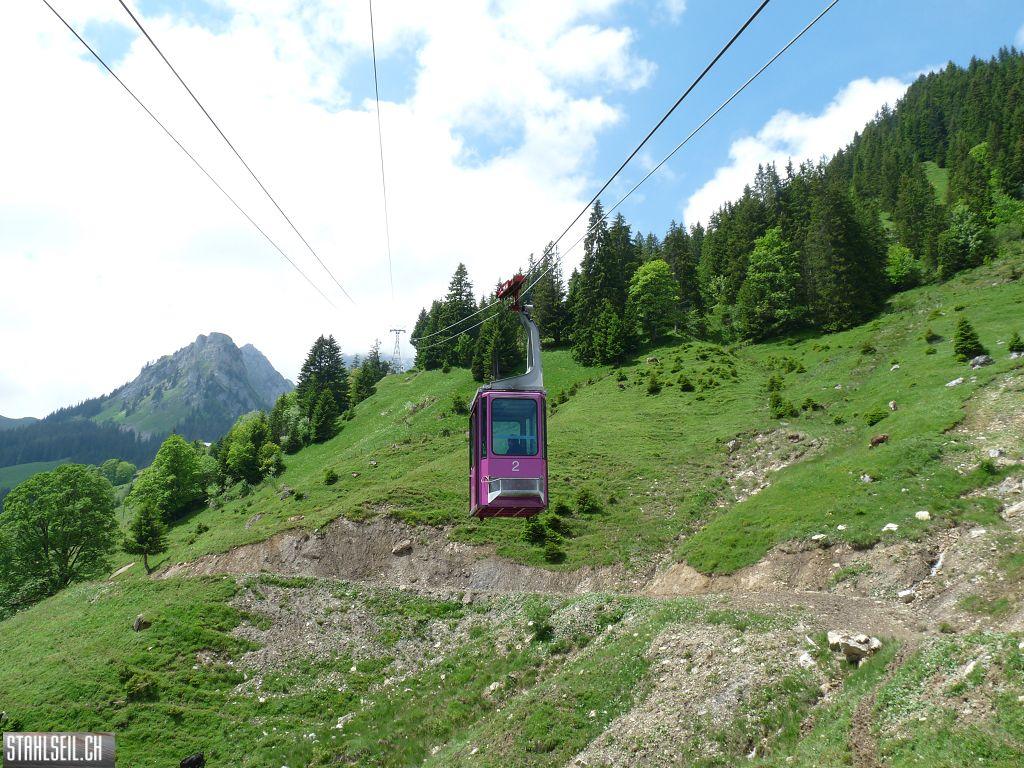 k-P1390607.JPG