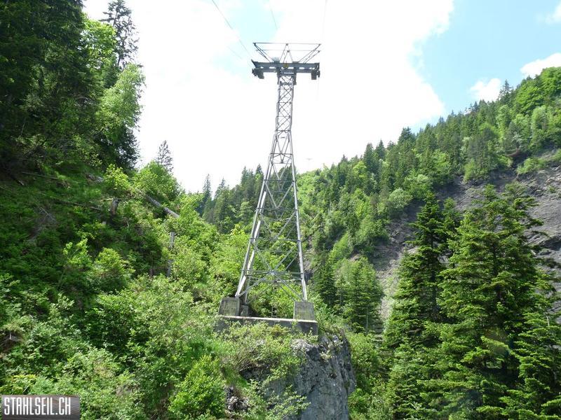 k-P1390615.JPG