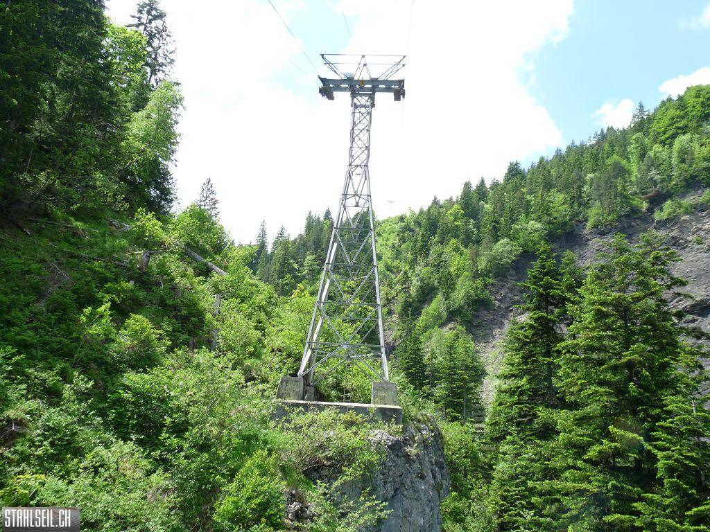 k-P1390615.JPG