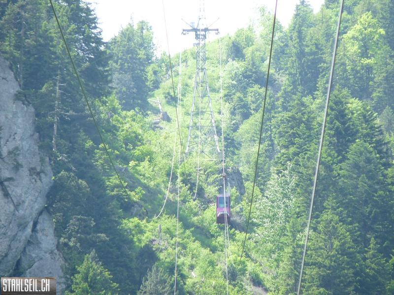 k-P1390626.JPG