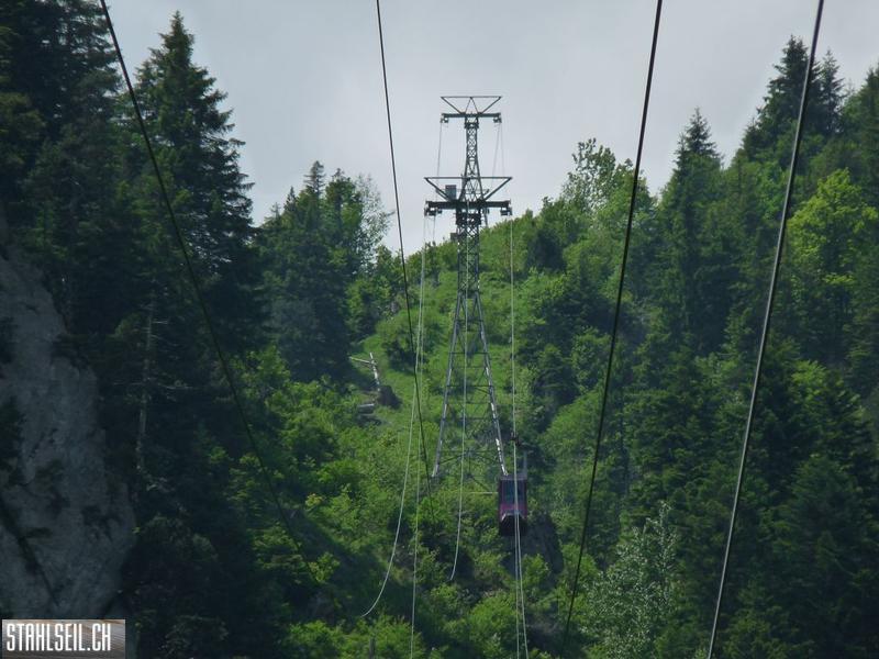 k-P1390627.JPG
