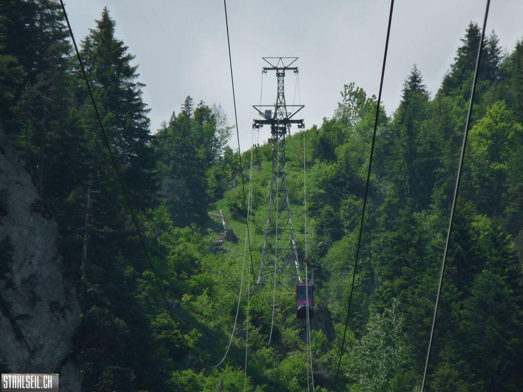 k-P1390627.JPG
