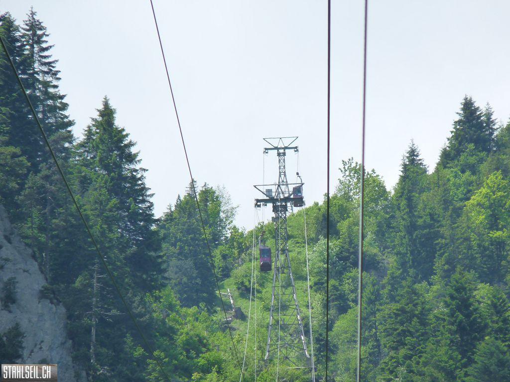 k-P1390628.JPG
