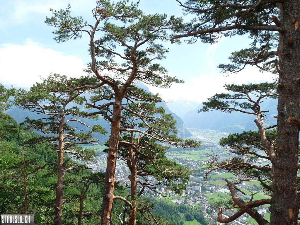 k-P1390749.JPG