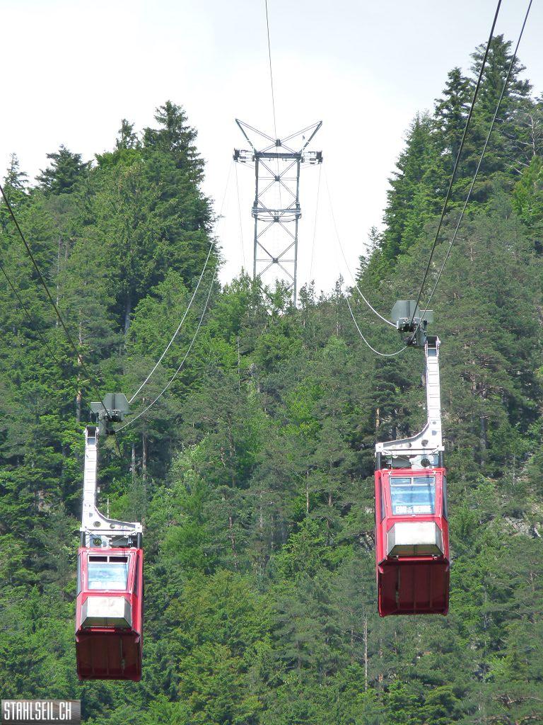 k-P1390760.JPG
