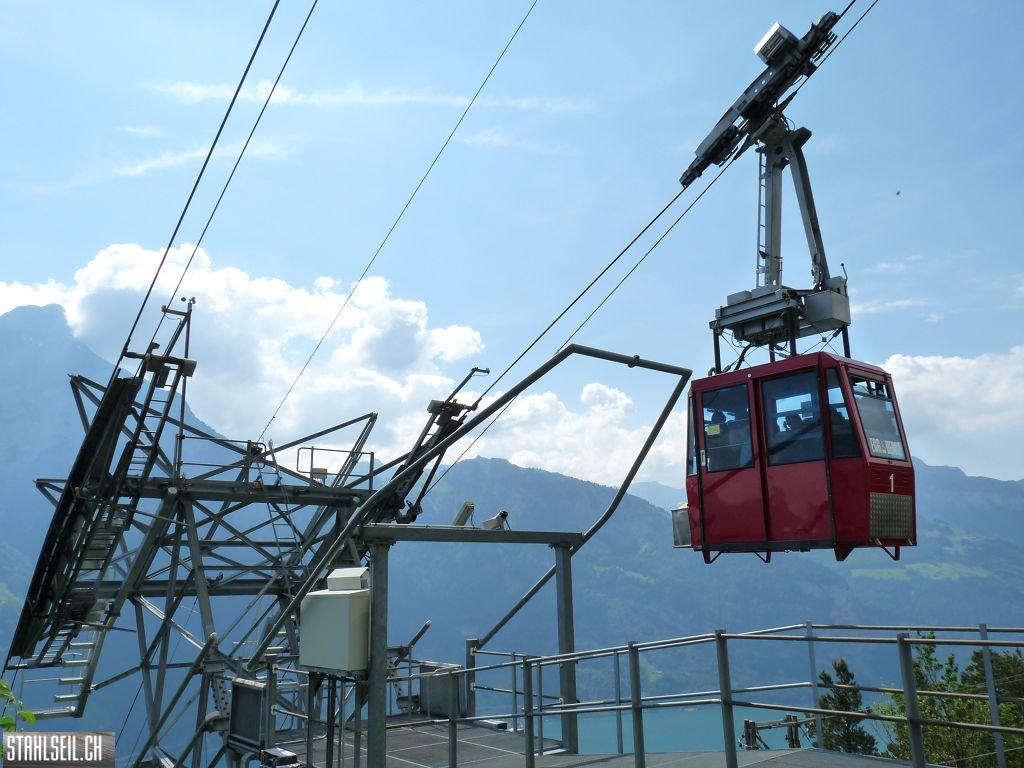 k-P1390763.JPG