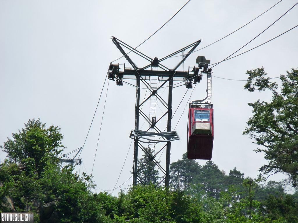 k-P1390653.JPG