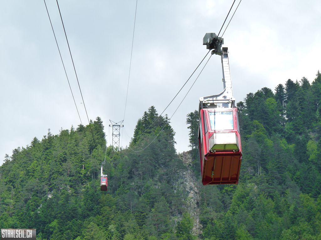 k-P1390697.JPG