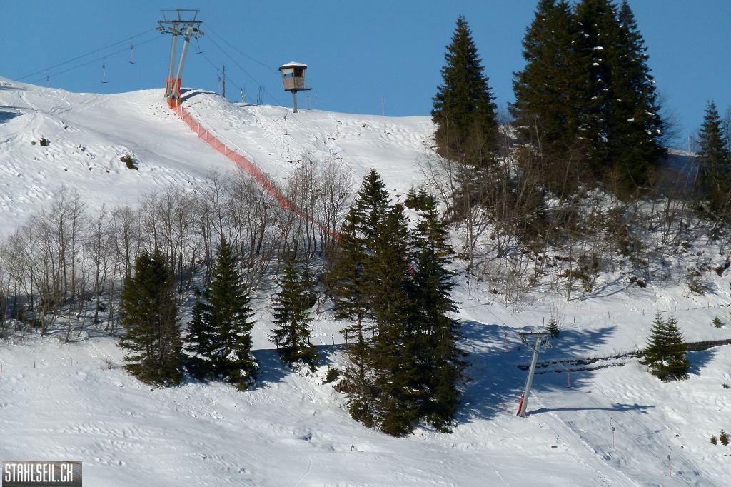 k-P1020568.JPG