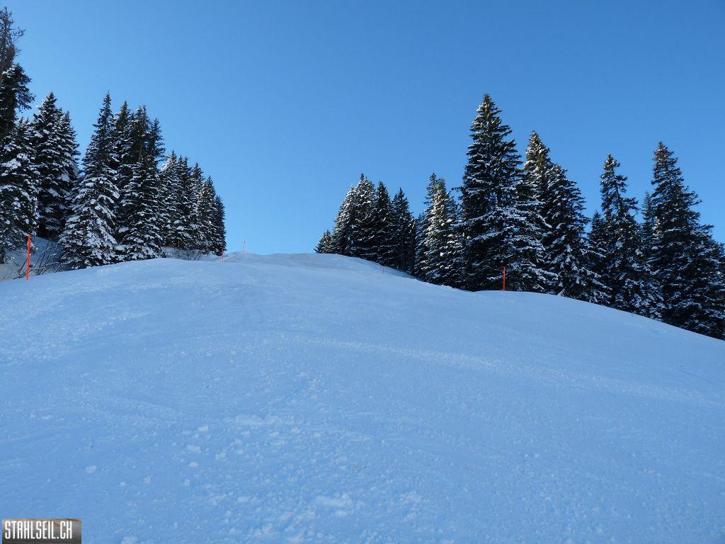 k-P1250271.JPG