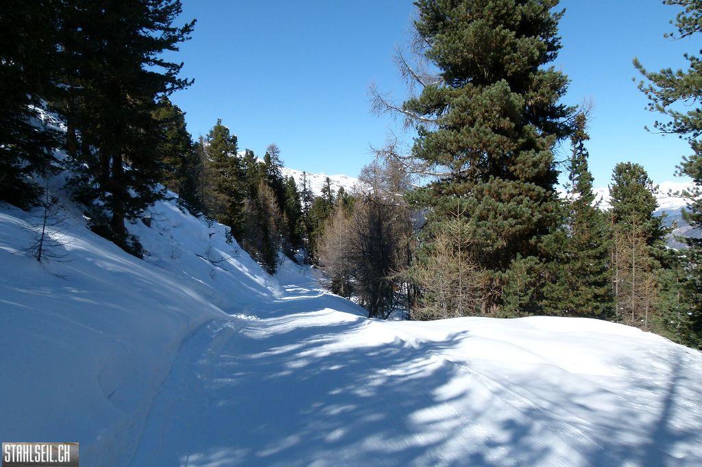 k-P1070854.JPG