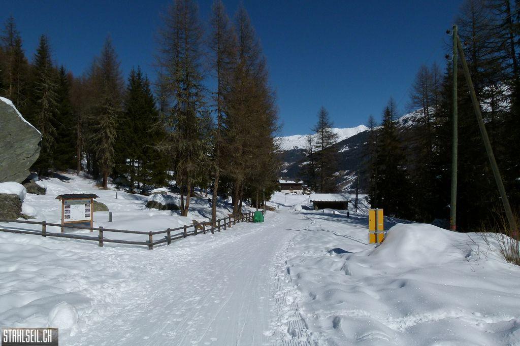 k-P1070855.JPG