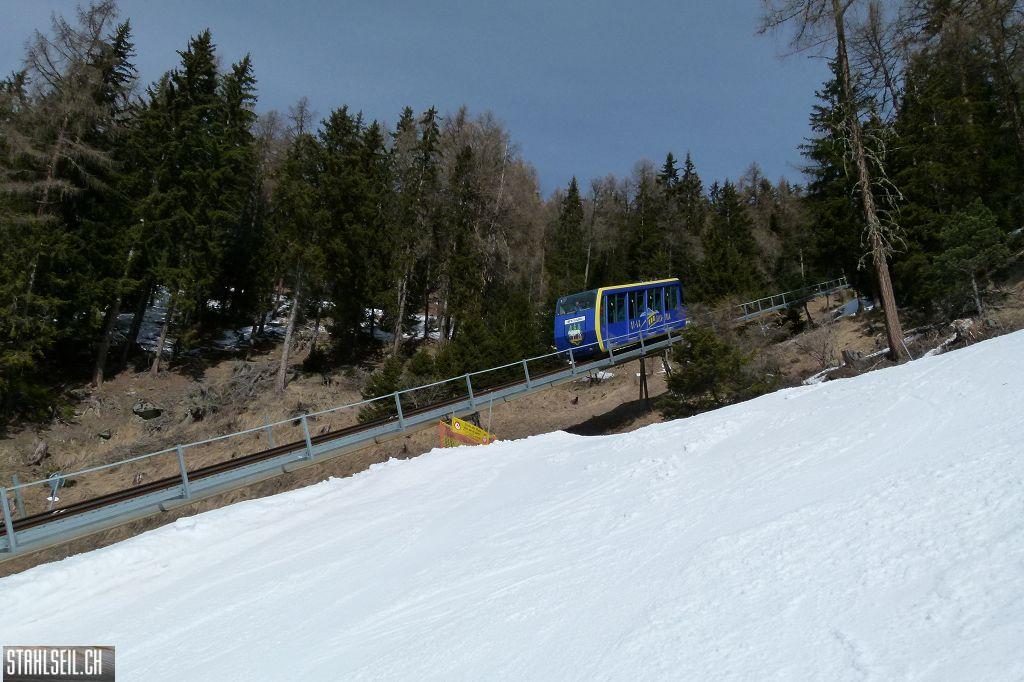 k-P1090147.JPG