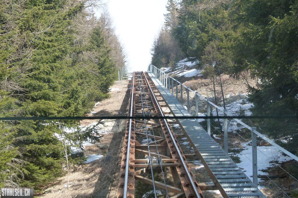 k-P1090156.JPG