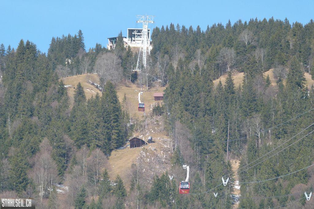 k-P1040268.JPG