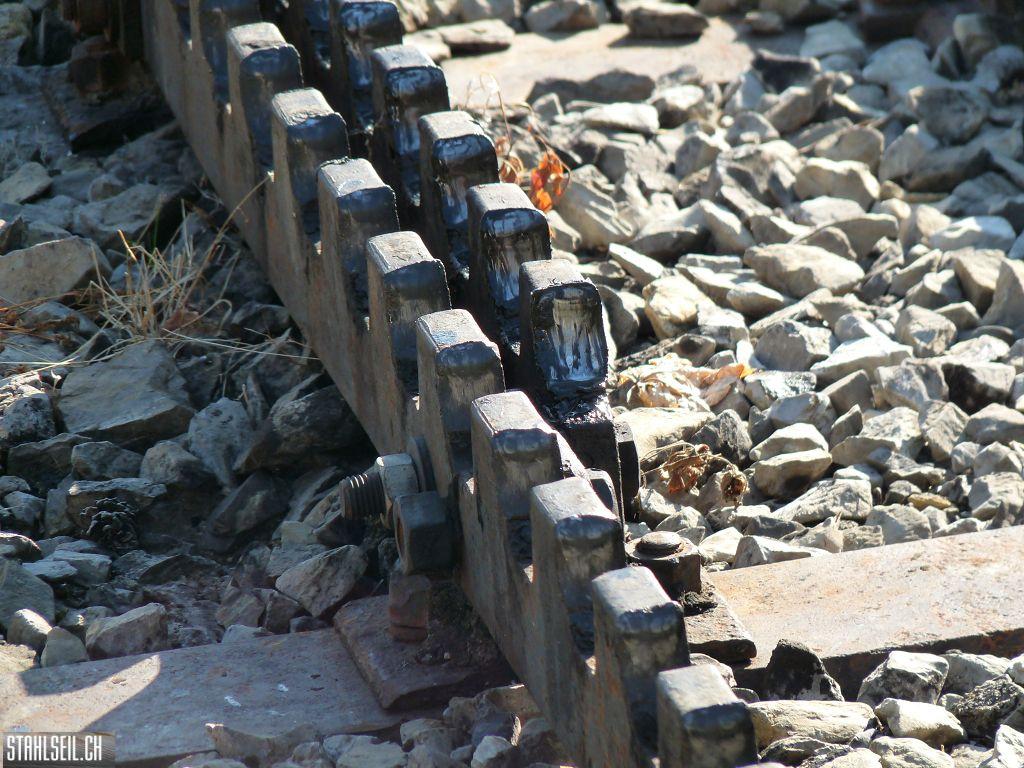 k-P1220209.JPG
