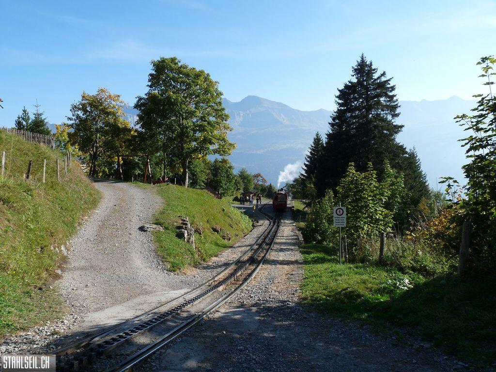 k-P1220214.JPG