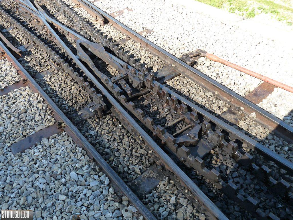 k-P1220079.JPG