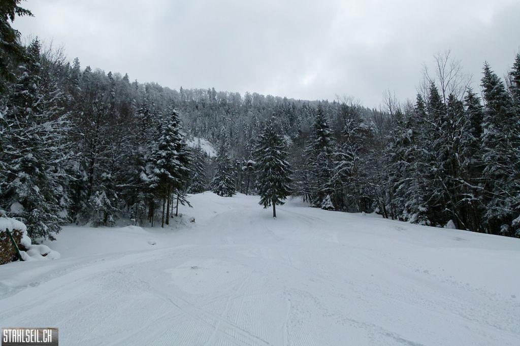 k-P1280778.JPG