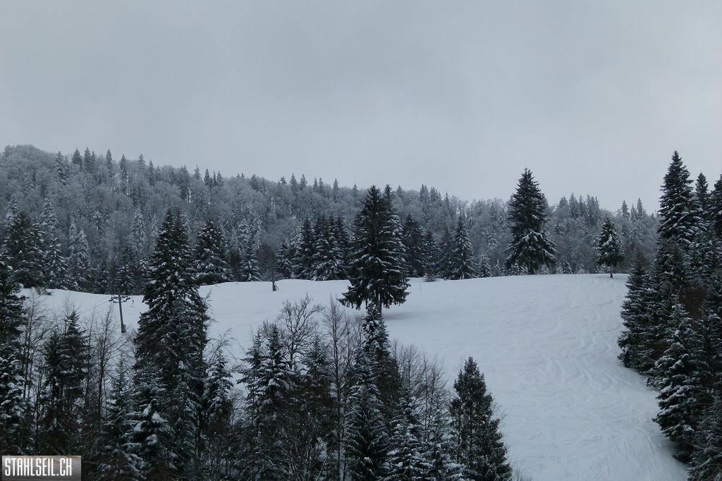 k-P1280785.JPG