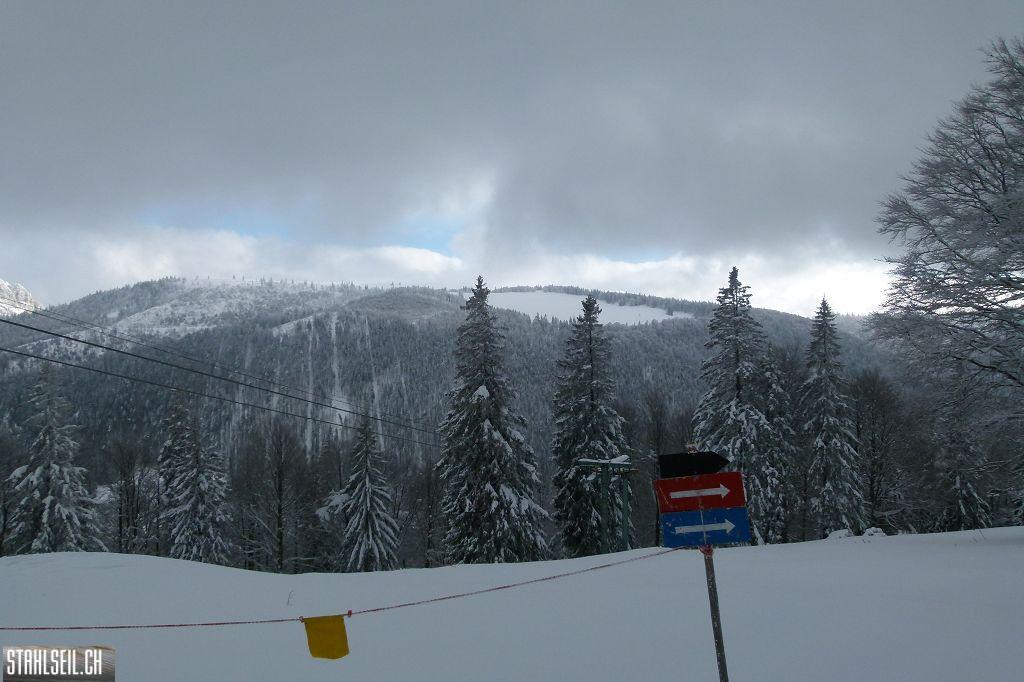 k-P1280806.JPG