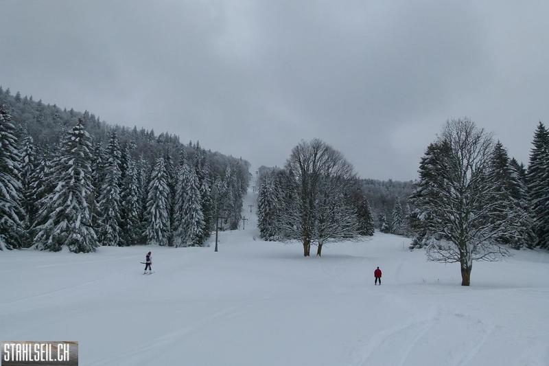 k-P1280818.JPG
