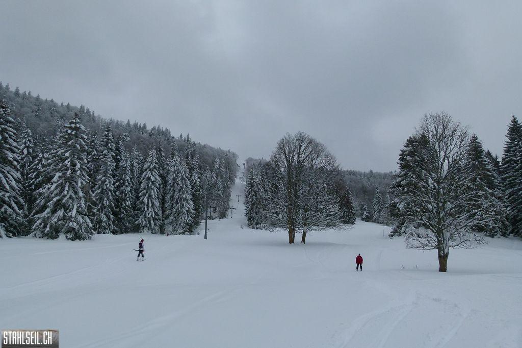 k-P1280818.JPG
