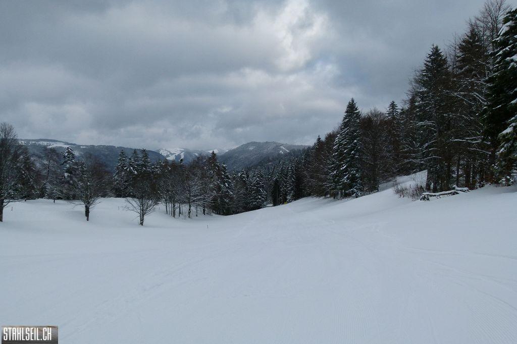 k-P1280832.JPG