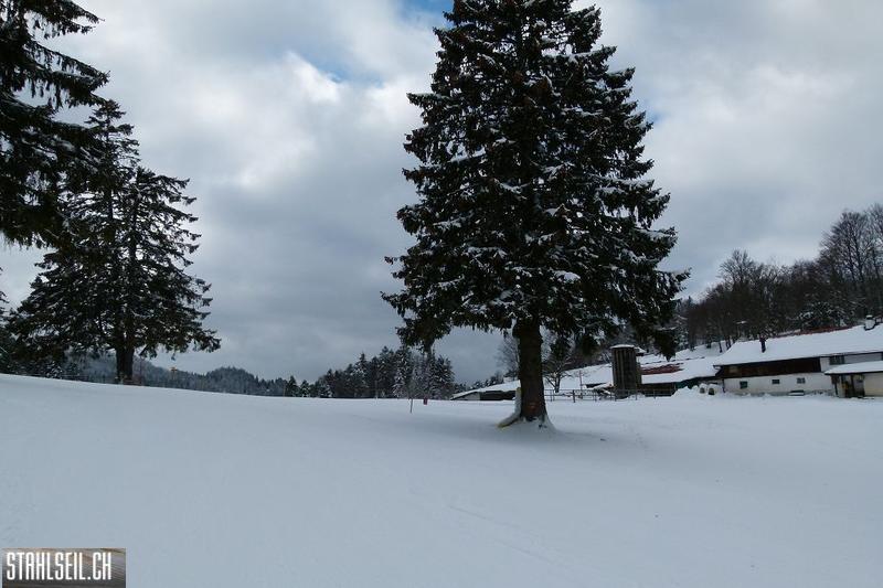 k-P1280834.JPG
