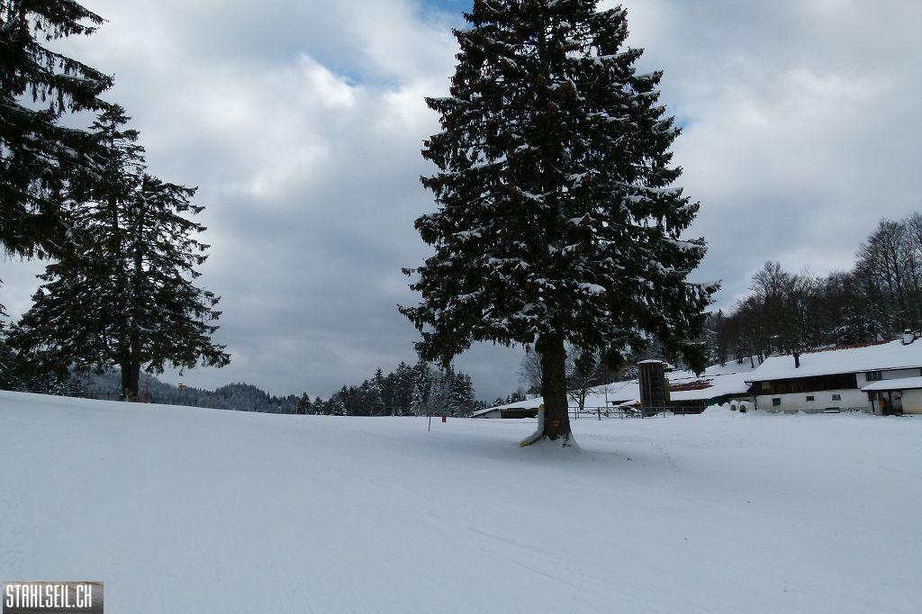 k-P1280834.JPG