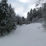 k-P1280838.JPG