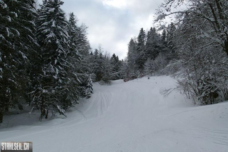 k-P1280838.JPG