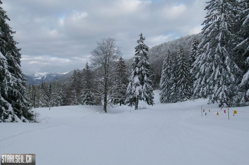 k-P1280957.JPG