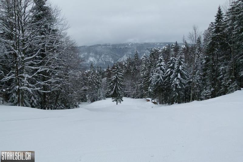 k-P1280767.JPG