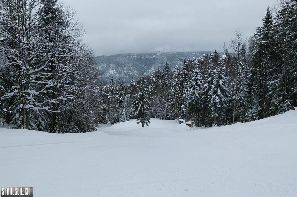 k-P1280767.JPG