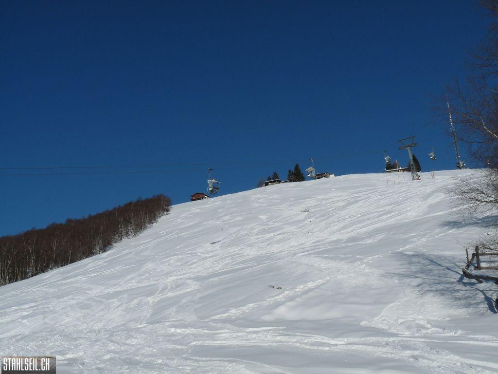 k-P1240031.JPG