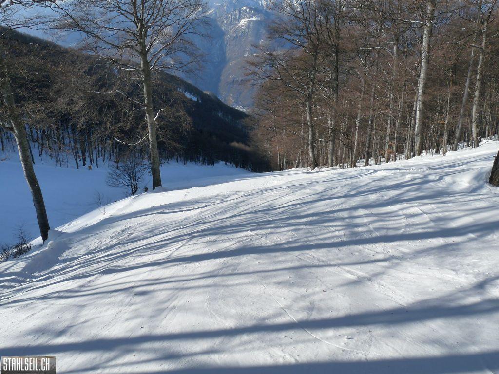 k-P1240108.JPG