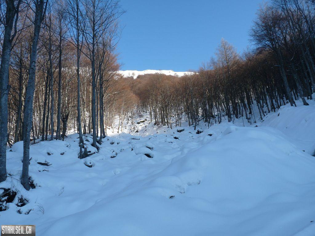 k-P1240109.JPG
