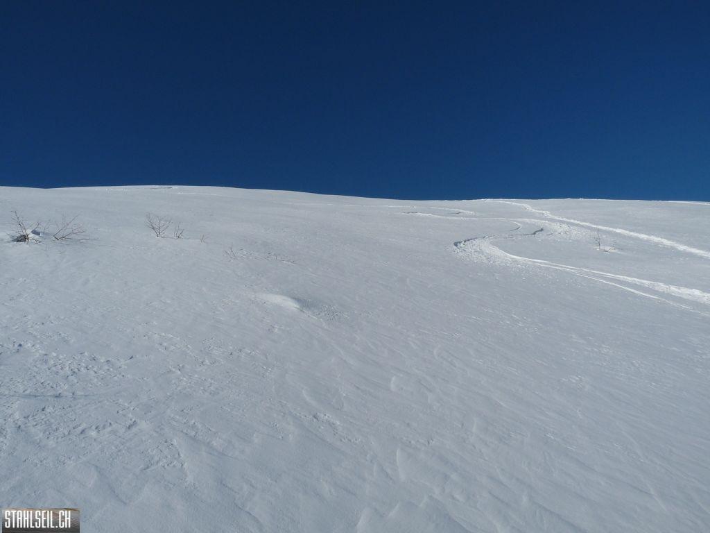 k-P1240127.JPG
