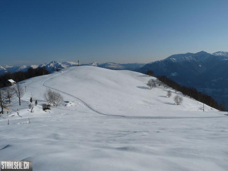 k-P1240129.JPG